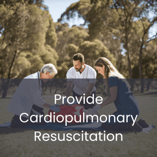 Provide Cardiopulmonary Resuscitation